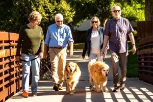 holly creek residents walking dogs