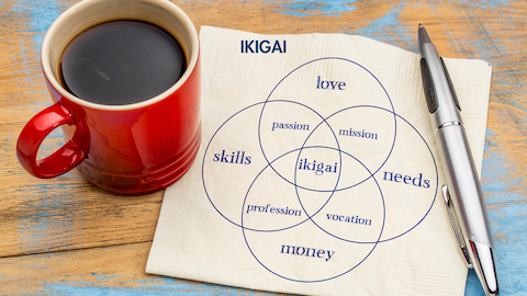 Ikigai diagram