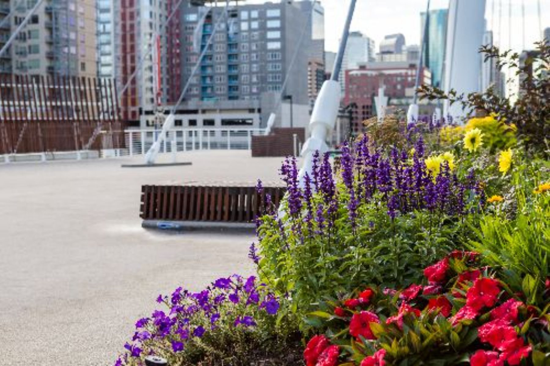 denver downtown bridge landscape (1)