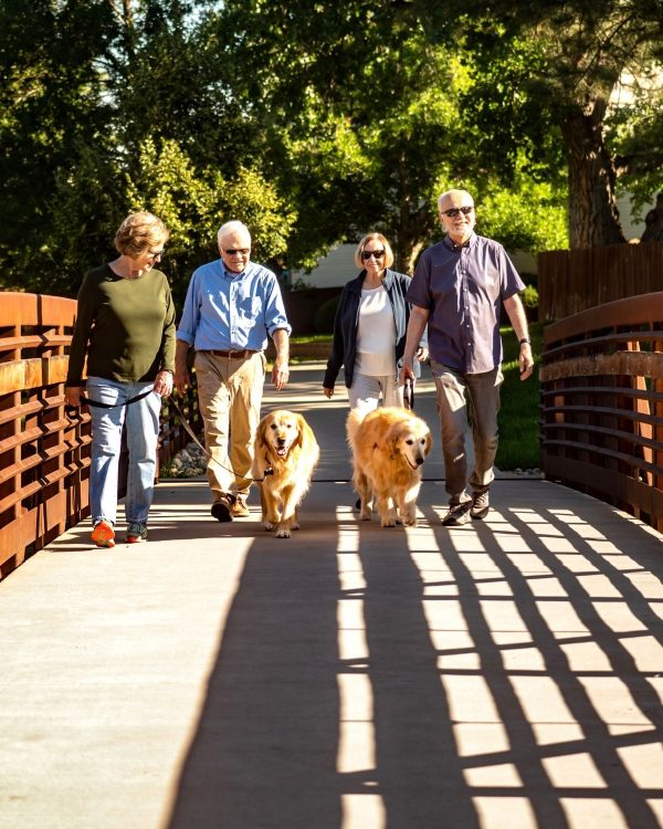 residents walking on bridge with dogs portrait residents walking on bridge with dogs portrait
